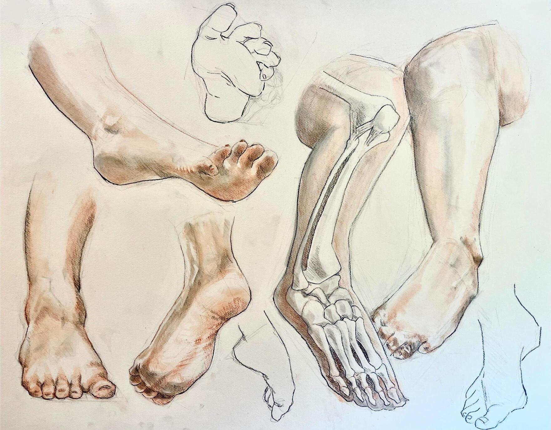 Feet Study | 2025 | Black and Red Conte Chalk on Sand-Toned Paper | 18" x 24" Feet Study | 2025 | Black and Red Conte Chalk on Sand-Toned Paper | 18" x 24"